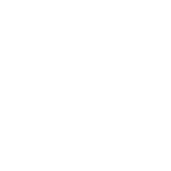 Top 5 Artikel 2010