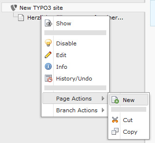 Anlegen einer neuen Seite Eine neue Seite können wir anlegen unter Page Actions > New