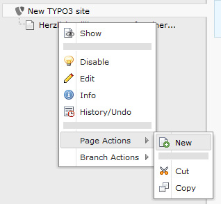 Eine neue Seite können wir anlegen unter Page Actions > New